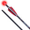 TenPoint CenterPunch HPX Alpha Blaze Carbon Arrows 20 in. Alpha Blaze Lighted Nocks 36 pk. Model: HEA-779.36