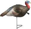 The Grind 1/2 Strut Jake Turkey Decoy 