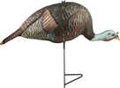 The Grind Bugging Hen Turkey Decoy   