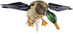 AvianX AVX Spinning Wing Decoy Duck  