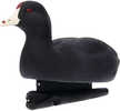 Avian X Topflight Floating Decoy Coot Model: AVX-COOT