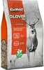 Evolved Clover Seed 4 lb. 