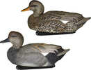 Zink Floater Duck Decoys Gadwall 6 pk. Model: ZNK-ZNKDYGAW