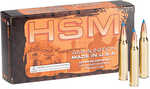HSM Varmint Rifle Ammunition 300 Blackout V-max 110 gr. 20 rd. Model: HSM-300BLK-2-N
