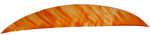 Gateway Magnum Feathers Tre White/Orange 5.5 in. RW 50 pk.  