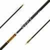 Gold Tip Kinetic Pierce Platinum Arrows 300 2.1 In. Fusion X Ii Vanes 6 Pk. model: Platinumn300a216