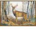 CUSTOM PRINTED RUGS CR Whitetail Deer Nylon 37x52 24536