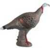 J AND L TARGETS Rinehart Tom Turkey 41511