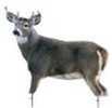 Montana Decoy Whitetail Buck 37"x48" 57622