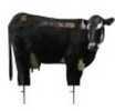 Montana Decoy Moo Cow 57"x42" Turkey 57624