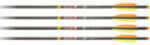 Carbon Express / Eastman Mayhem Crossbolt Flat/moon Nock 20" Factory 3" Vanes 6/pk. 52132