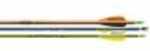 Easton Outdoors Genesis V2 Arrows Blue/green/orange 1820 72 Pk. Model: 925548