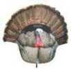 Montana Decoy Fanatic 2D Gobbler Model: 0058