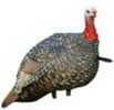 Avian X Turkey Decoy Quarter Strut Jake Model: 8003