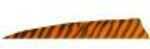 Gateway Feather Shield Cut Feathers Barred Orange 4 in. RW 100 Pk. Model: 400RSBOR-100