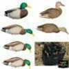 Avian X Full Body Decoys Mallard 6 pk. Model: 8061