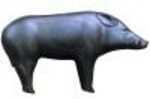 R & W Targets RW Black Boar Model: 3D550BB