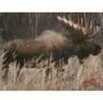 DuraMesh Archery Targets Moose 25 in. x 32 Model: DM214