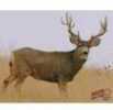 DuraMesh Archery Targets Mule Deer 2 25 in. x 32 Model: DM216
