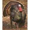 DuraMesh Archery Targets Turkey 3 32 in. x 25 Model: DM218