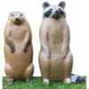 Bigshot Archery RealWild Raccoon and Groundhog Combo Target Model: 3D900CR