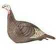 Hunter Specialties Hunters Strut-Lite Hen Turkey Decoy Model: 100001