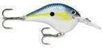 Rapala USA Dt Crankbait 2-1/8In 3/8Oz (6Ft) Helsinki Model: DT06HSD