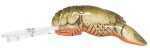 Pradco Lures Rebel Wee Crawfish 2in 1/5oz Stream F7660