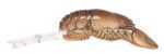 Rebel REB Wee Craw 2" 1/5"-Ditch Brn