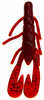 Zoom Lures Ultra-vibe Speed Craw 3in 12 Per Bag Ruby Red Model: 080-134