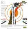 Primos Turkey Pattern Target 12 pk. Model: 6041