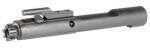 Doublestar Corp. Bolt Carrier Group Chrome Lined Includes O Ring AR100