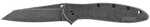 Kershaw Random Leek- Blackwash Folding Knife