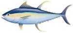 Salty Bones / Advanced Graphics /Advanced Profile Fish Decal 13-3/4in X 4-3/4in Tuna Md#: BPF2480
