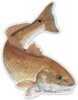 Salty Bones / Advanced Graphics /Advanced Action Fish Decal 5-1/2in X 7in Redfish Md#: ED2477SB