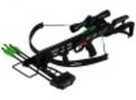 SA Sports Empire Terminator Recon Crossbow Pkg. Black Model: 613