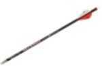 Carbon Express / Eastman Maxima Red Arrow 350 2in. Vane 6Pk 50754