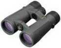 Leupold Binoculars 12x50 Bx-5 Santiam Hd Gray