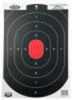 Birchwood Casey Dirtybird 12x18 Oval Sil Targets 100