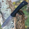 Templar Knife Pfmbk321 Paladin 3.27" Folding Drop Point Plain Black Powder Coated D2 Steel Blade, 4.40" Black Micarta Ha