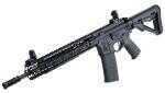 Spike's Tactical Rifle STR5525-M2D Crusader With 12 Inch M-LOK Rail System Semi-Automatic 223 Remington/5.56 Nato 14.5" Barrel 30+1 Mag