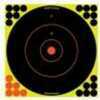 Birchwood Casey 34022 Shoot-N-C Bull''s-Eye 12 Target