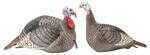 OPEN BOX: Hunters Specialties 100005 Strut-Lite Hen and Jack Turkey Decoy