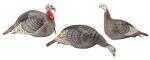 Hunters Specialties 100006 Strut-Lite Turkey Flock Decoy 3 Pack