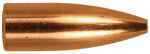 Berger Bullets .204 35G VARM FB 100 20303
