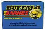 454 Casull 20 Rounds Ammunition Buffalo Bore 250 Grain Hollow Point