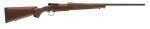Winchester Rifle Guns M70 Featherweight 243 22" Barrel 5+1 Rounds Grade I Walnut Stock Blued Bolt Action