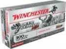 300 AAC Blackout 20 Rounds Ammunition Winchester 150 Grain Polymer Tip