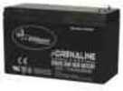 Wildgame Innovations / BA Products Game Feeder Battery Recharge 12V Post Top-Bulk 12VB