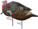 Primos Turkey Decoy Lil GOBBSTOPPER Jake/Hen Combo